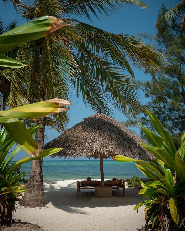 Xanadu Luxury Villas & Retreat Zanzibar Bwejuu Eksteriør bilde